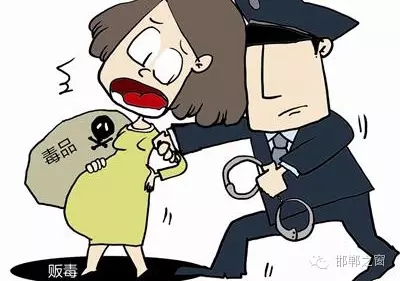 2016年初，涉县警方查获一起涉毒案件，鉴于该案涉案人员多、毒品交易量大，涉县警方立即将案情上报，被公安部确立为“目标-2016-314”号毒品案件。涉县警方成立专案组，经过多方追查，先后抓获团伙人员13名，缴获毒品5349克，并查明上线“濮姐”的真实身份为陈某。